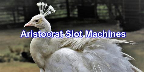 The 7 Best Aristocrat Slot Machines in 2022 (Ranked .